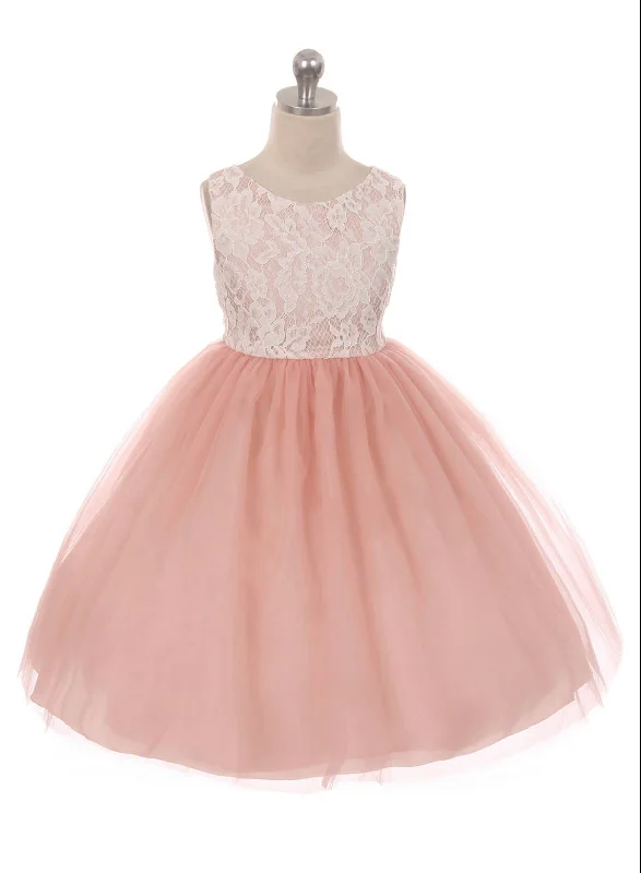 Final Clearance Lace Illusion Dress