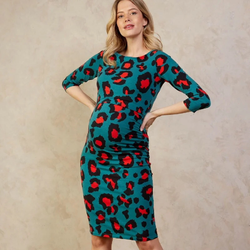 Instant Savings Audrey Maternity Breastfeeding Dress