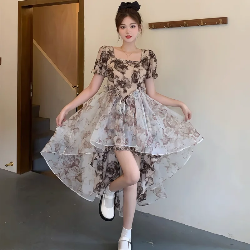 Super Bargain Plus Size Vintage Roses Midi Dress