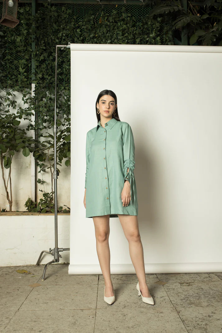 Price Slash Ruched Sleeves Shirt Dress